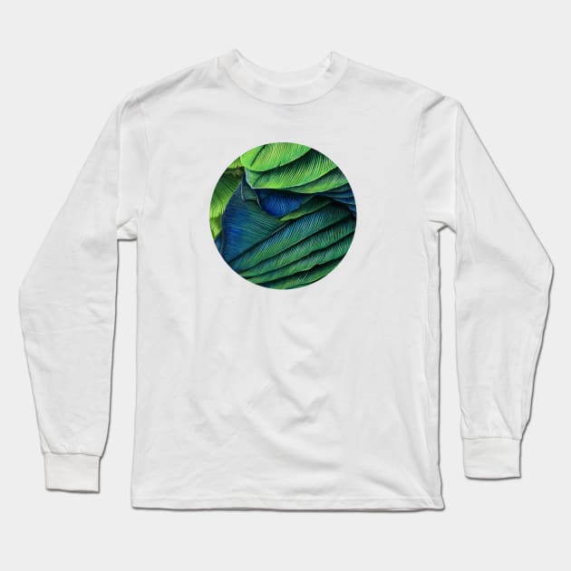 Feathers Long Sleeve T-Shirt by Warbler Creative